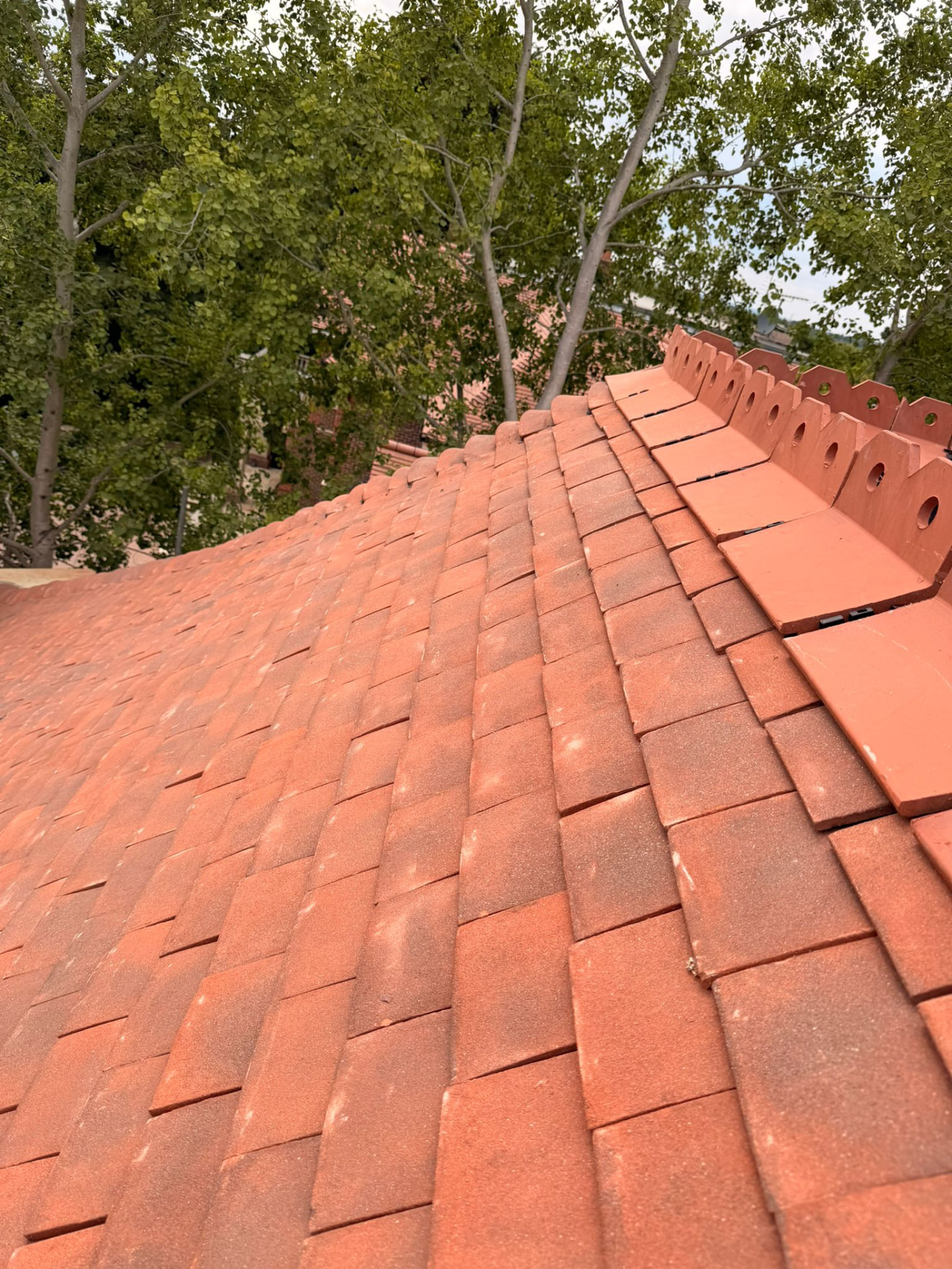 Terracotta ridge tiles bedded along the ridge of a clay tiled roof